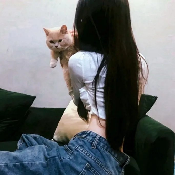 蓬莱龙棺之徐福宝藏
